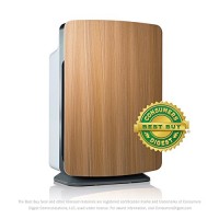 Alen BreatheSmart Customizable Air Purifier with HEPA-Silver Filter to Remove Allergies  Mold & Bacteria (Oak  Silver  1-Pack) - B018N4DGEG